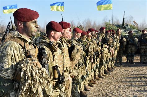 ukraine latest update on nato